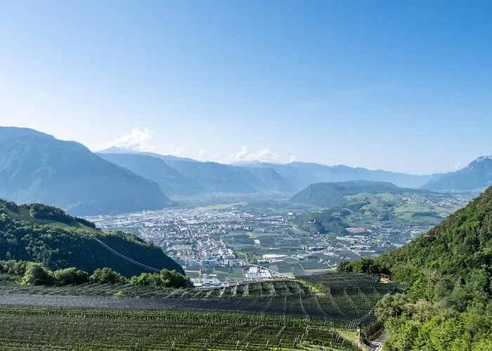 Weingartnerhof Calendula