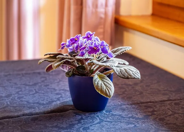 Apartman Weingartnerhof Calendula *